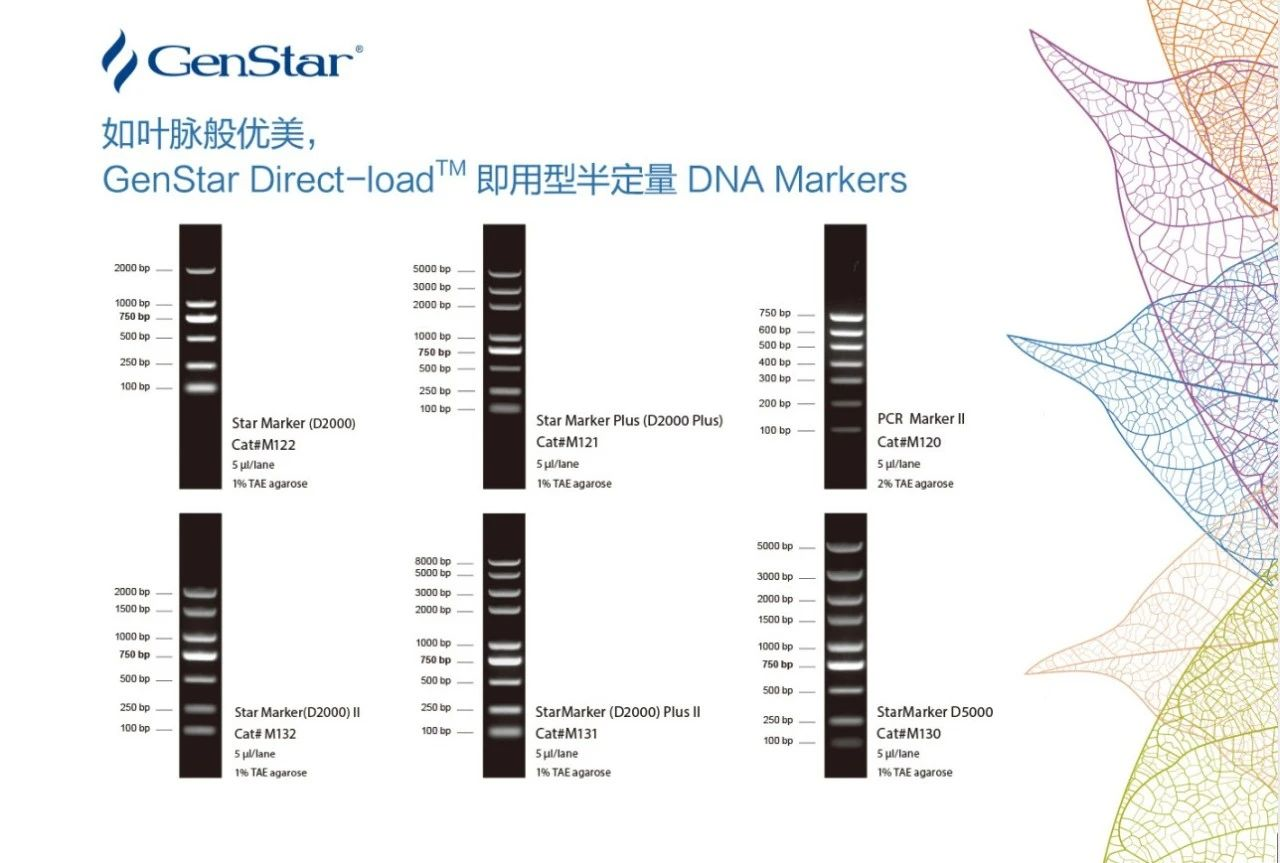 dna marker